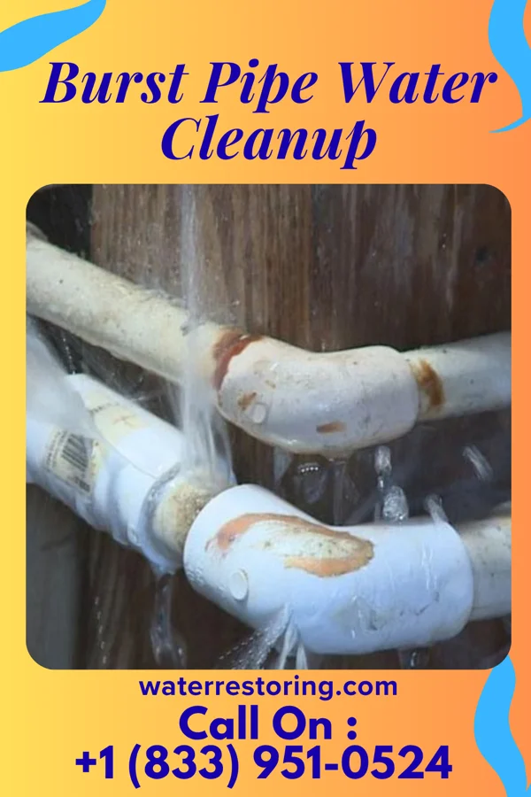 Burst Pipe Water Cleanup in Leggett, NC