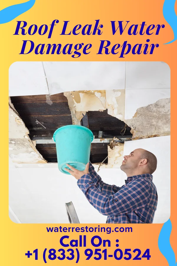 Roof Leak Water Damage Repair in Leggett, NC
