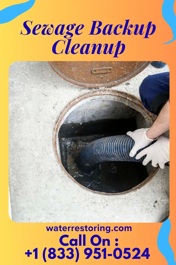 Sewage Backup Cleanup in Leggett, NC