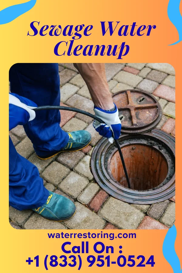 Sewage Water Cleanup in Leggett, NC
