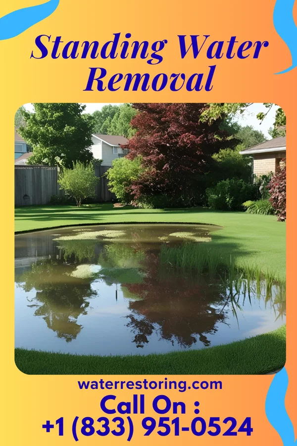 Standing Water Removal in Leggett, NC